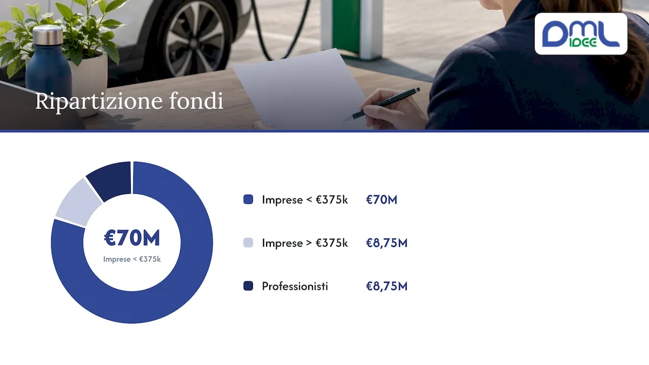 Ripartizione dei fondi del bonus colonnine per categoria